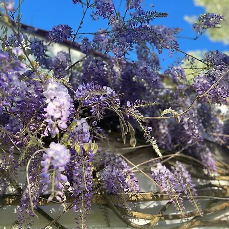 Дом отдыха De Charme 